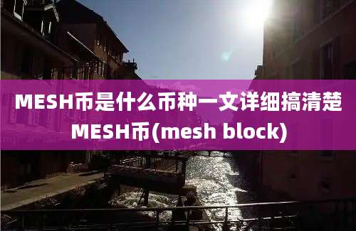 MESH币是什么币种一文详细搞清楚MESH币(mesh block)