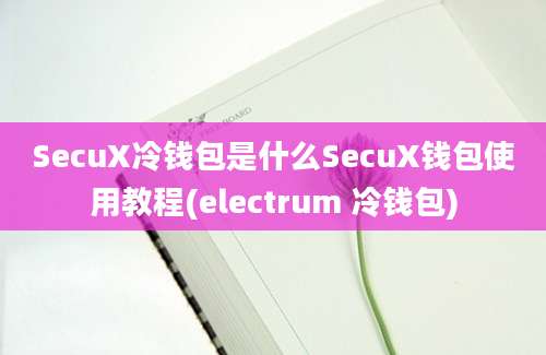 SecuX冷钱包是什么SecuX钱包使用教程(electrum 冷钱包)