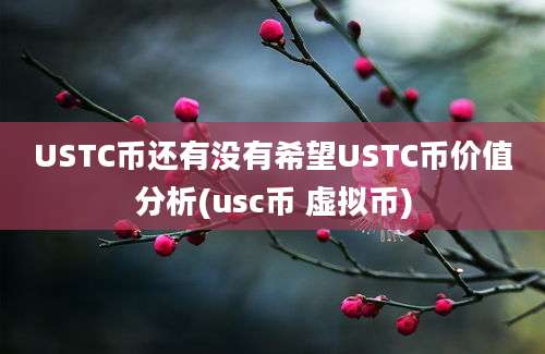 USTC币还有没有希望USTC币价值分析(usc币 虚拟币)