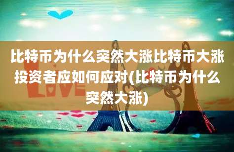 比特币为什么突然大涨比特币大涨投资者应如何应对(比特币为什么突然大涨)