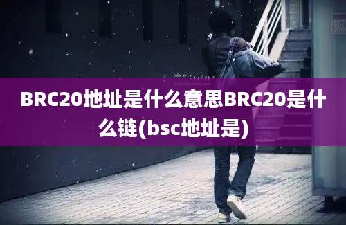 BRC20地址是什么意思BRC20是什么链(bsc地址是)