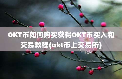 OKT币如何购买获得OKT币买入和交易教程(okt币上交易所)