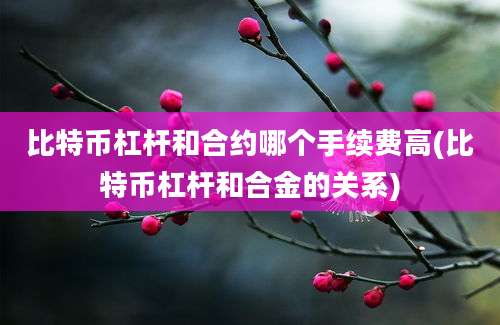 比特币杠杆和合约哪个手续费高(比特币杠杆和合金的关系)