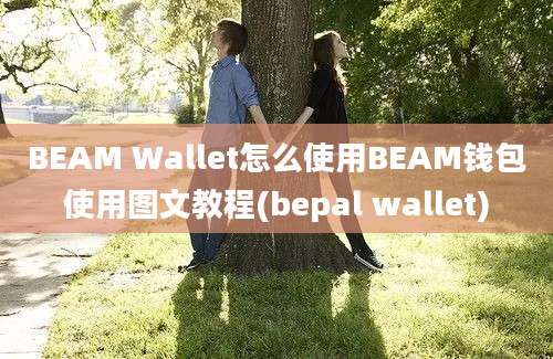 BEAM Wallet怎么使用BEAM钱包使用图文教程(bepal wallet)