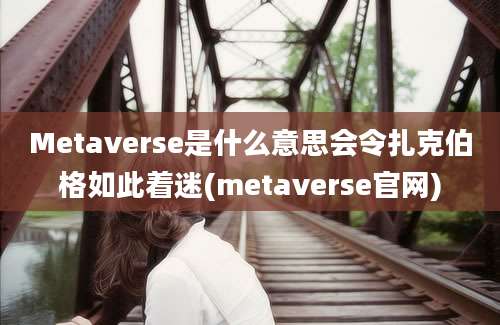 Metaverse是什么意思会令扎克伯格如此着迷(metaverse官网)