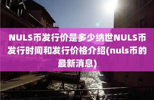 NULS币发行价是多少纳世NULS币发行时间和发行价格介绍(nuls币的最新消息)