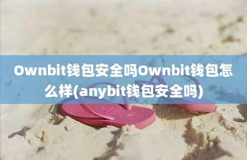 Ownbit钱包安全吗Ownbit钱包怎么样(anybit钱包安全吗)