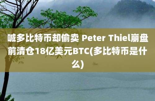 喊多比特币却偷卖 Peter Thiel崩盘前清仓18亿美元BTC(多比特币是什么)