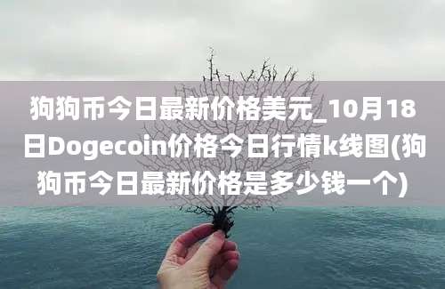 狗狗币今日最新价格美元_10月18日Dogecoin价格今日行情k线图(狗狗币今日最新价格是多少钱一个)