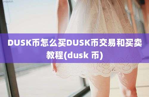 DUSK币怎么买DUSK币交易和买卖教程(dusk 币)