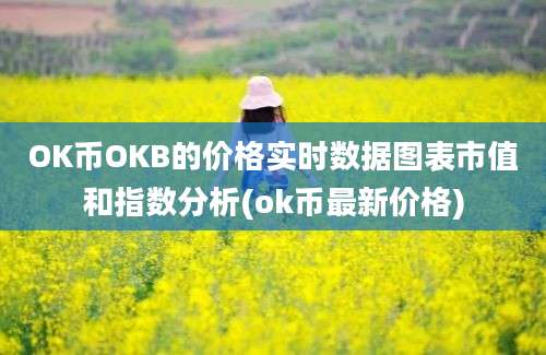 OK币OKB的价格实时数据图表市值和指数分析(ok币最新价格)