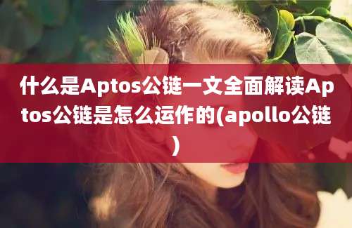 什么是Aptos公链一文全面解读Aptos公链是怎么运作的(apollo公链)