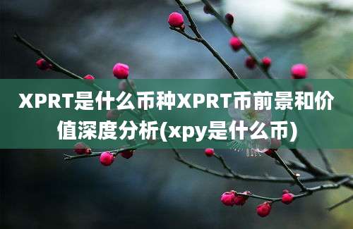 XPRT是什么币种XPRT币前景和价值深度分析(xpy是什么币)