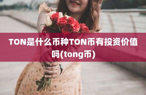 TON是什么币种TON币有投资价值吗(tong币)