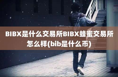 BIBX是什么交易所BIBX蜂蜜交易所怎么样(bib是什么币)