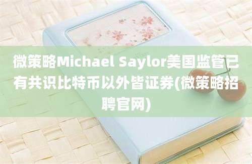 微策略Michael Saylor美国监管已有共识比特币以外皆证券(微策略招聘官网)