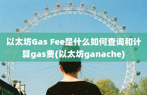 以太坊Gas Fee是什么如何查询和计算gas费(以太坊ganache)