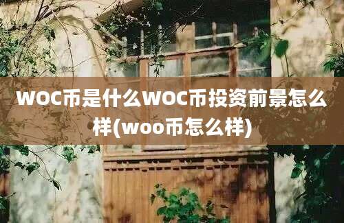 WOC币是什么WOC币投资前景怎么样(woo币怎么样)