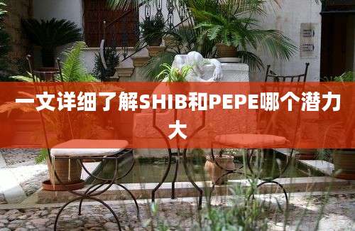 一文详细了解SHIB和PEPE哪个潜力大