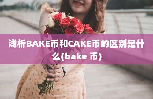 浅析BAKE币和CAKE币的区别是什么(bake 币)