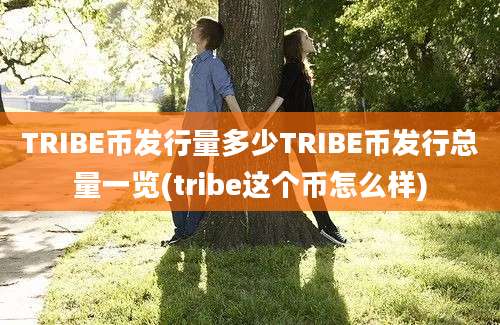 TRIBE币发行量多少TRIBE币发行总量一览(tribe这个币怎么样)