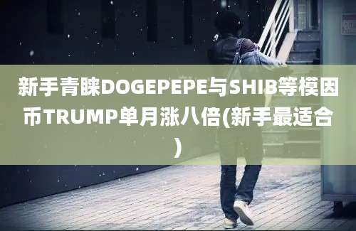 新手青睐DOGEPEPE与SHIB等模因币TRUMP单月涨八倍(新手最适合)