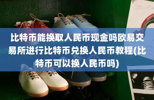 比特币能换取人民币现金吗欧易交易所进行比特币兑换人民币教程(比特币可以换人民币吗)