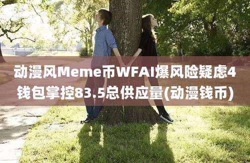 动漫风Meme币WFAI爆风险疑虑4钱包掌控83.5总供应量(动漫钱币)