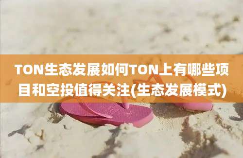 TON生态发展如何TON上有哪些项目和空投值得关注(生态发展模式)