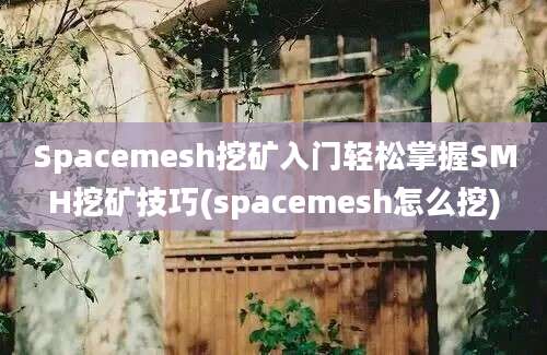 Spacemesh挖矿入门轻松掌握SMH挖矿技巧(spacemesh怎么挖)