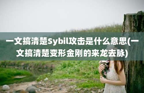 一文搞清楚Sybil攻击是什么意思(一文搞清楚变形金刚的来龙去脉)