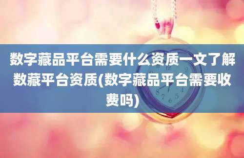 数字藏品平台需要什么资质一文了解数藏平台资质(数字藏品平台需要收费吗)