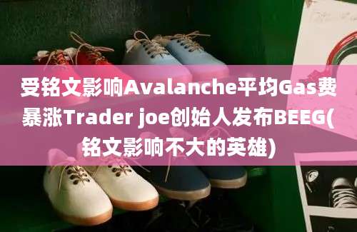 受铭文影响Avalanche平均Gas费暴涨Trader joe创始人发布BEEG(铭文影响不大的英雄)