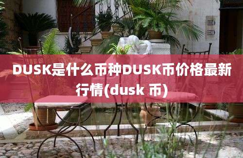 DUSK是什么币种DUSK币价格最新行情(dusk 币)