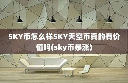 SKY币怎么样SKY天空币真的有价值吗(sky币暴涨)