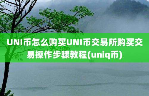 UNI币怎么购买UNI币交易所购买交易操作步骤教程(uniq币)