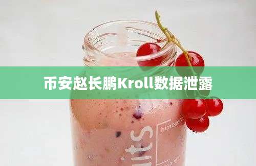 币安赵长鹏Kroll数据泄露