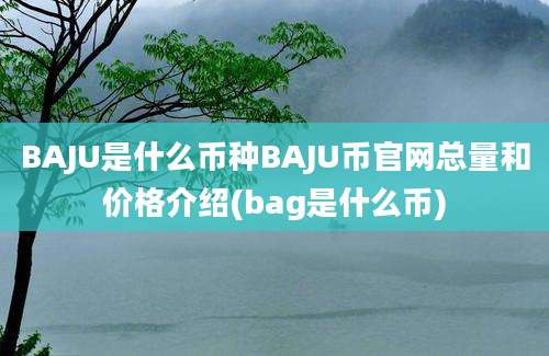 BAJU是什么币种BAJU币官网总量和价格介绍(bag是什么币)