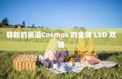 崭新的赛道Cosmos 的全链 LSD 双雄