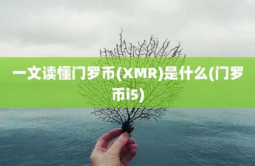 一文读懂门罗币(XMR)是什么(门罗币i5)