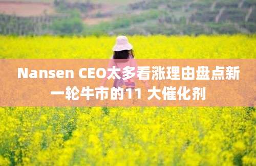 Nansen CEO太多看涨理由盘点新一轮牛市的11 大催化剂