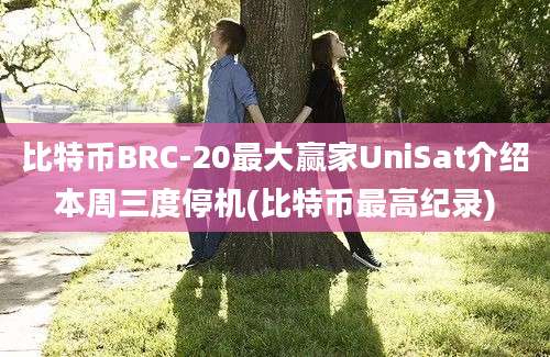 比特币BRC-20最大赢家UniSat介绍本周三度停机(比特币最高纪录)