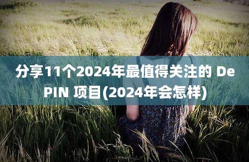 分享11个2024年最值得关注的 DePIN 项目(2024年会怎样)