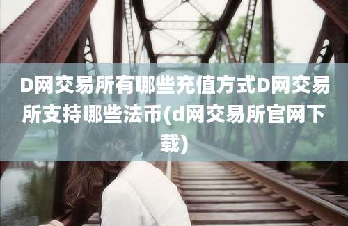 D网交易所有哪些充值方式D网交易所支持哪些法币(d网交易所官网下载)