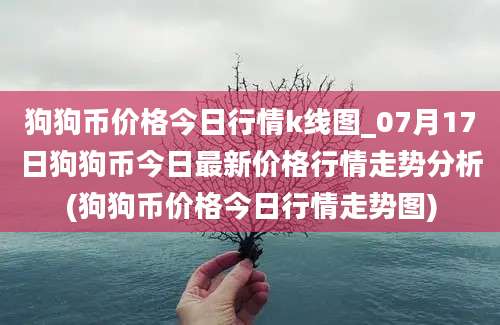 狗狗币价格今日行情k线图_07月17日狗狗币今日最新价格行情走势分析(狗狗币价格今日行情走势图)