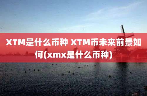 XTM是什么币种 XTM币未来前景如何(xmx是什么币种)