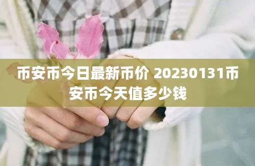 币安币今日最新币价 20230131币安币今天值多少钱