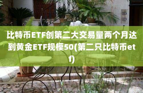 比特币ETF创第二大交易量两个月达到黄金ETF规模50(第二只比特币etf)