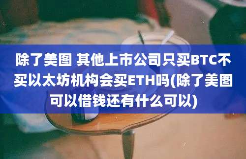 除了美图 其他上市公司只买BTC不买以太坊机构会买ETH吗(除了美图可以借钱还有什么可以)