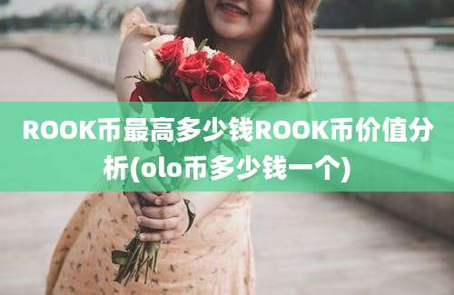 ROOK币最高多少钱ROOK币价值分析(olo币多少钱一个)